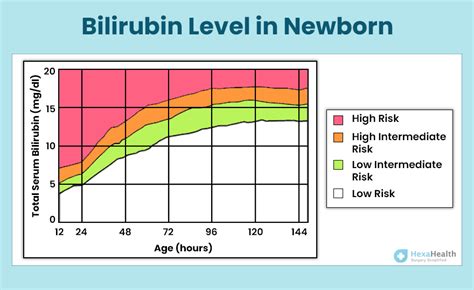 bilirubin converter|bilirubin 1.4 is normal.